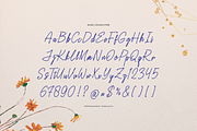 Lingered Amaya | Handwritten Script, a Font by gracetype_studio (Thumbnail 10 of 12)
