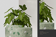 5 Podium with Transparent Background, a Background Graphic by faustudio (Thumbnail 7 of 7)