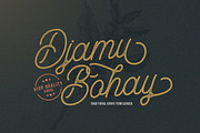 Aurelig Vintage Script (3 Fonts), a Sans Serif Font by Vultype Co. (Thumbnail 9 of 18)