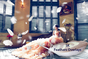 5K Feathers Overlays
