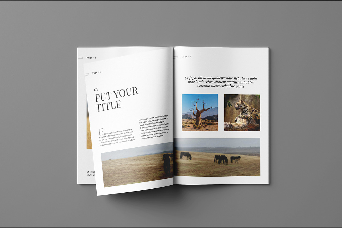 Portfolio Brochure Layout, a Brochure Template by Seeing-art (Photo 4 of 11)