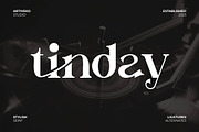 Tinday Serif Font, a Sans Serif Font by Artiveko (Thumbnail 1 of 8)