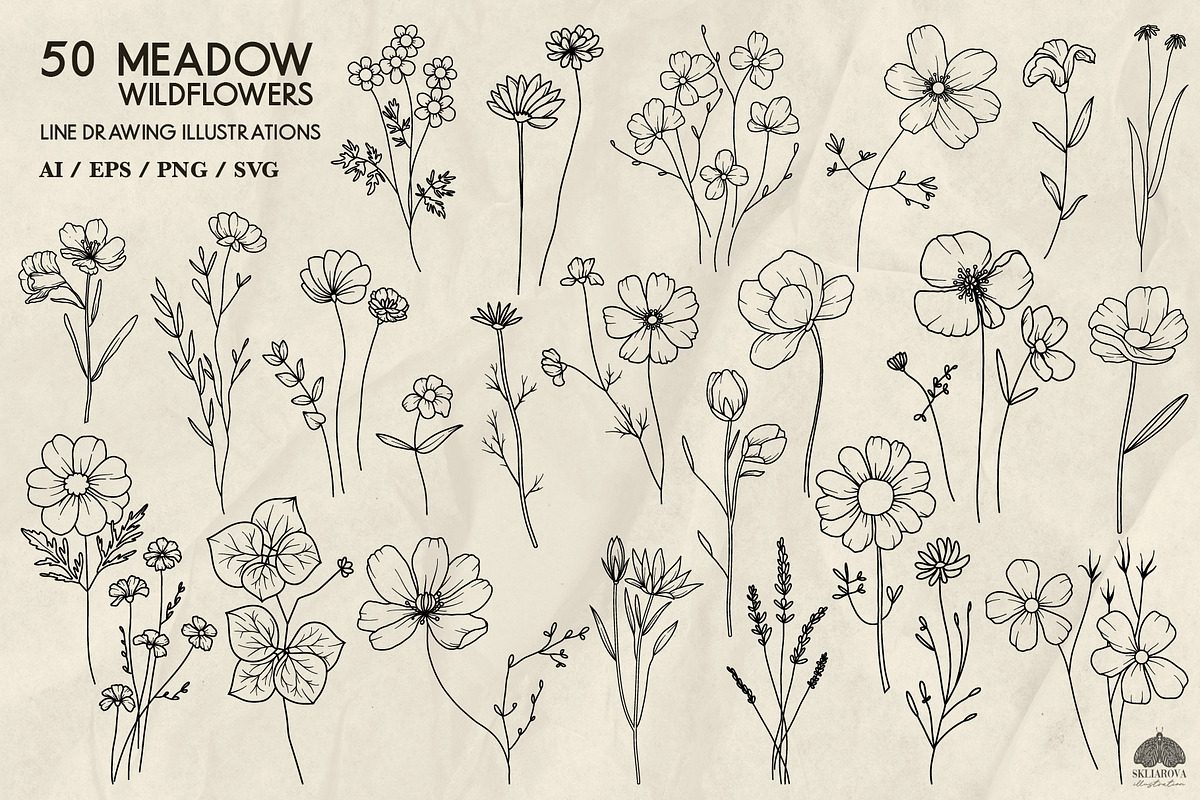 Meadow wildflowers + Procreate, a Decorative Illustration by Skliarova (Photo 3 of 3)