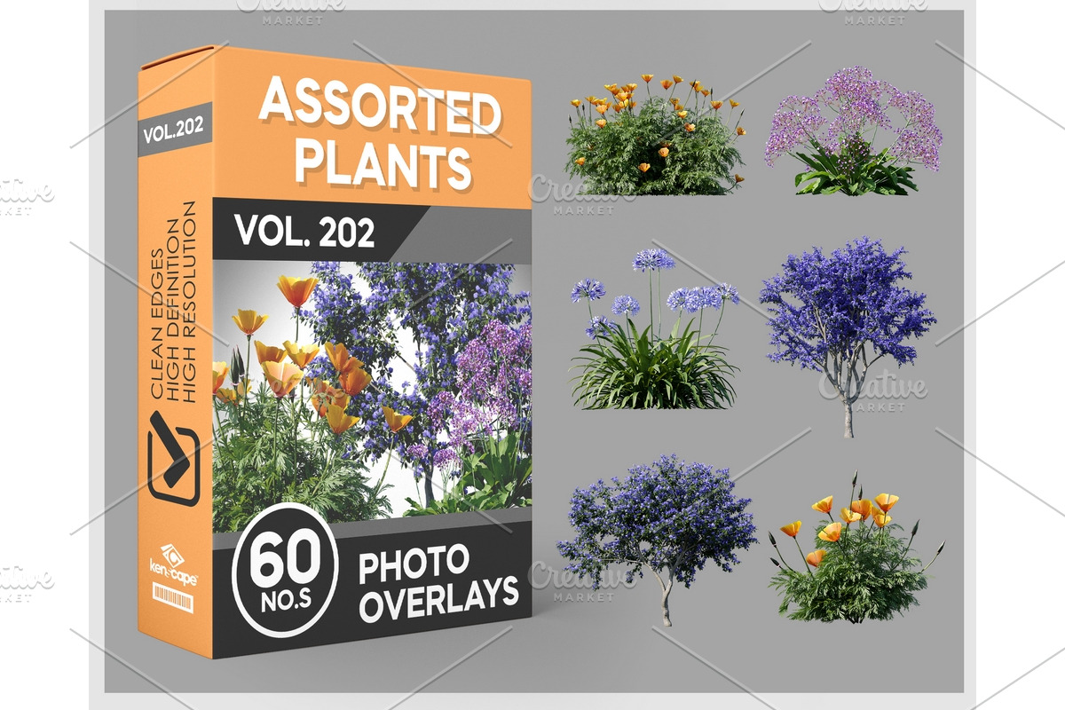60 Assorted Plants Photo Overlays, a Nature Photo by KenScape (Photo 1 of 3)