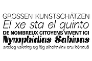 Boring Sans 30 fonts, a Sans Serif Font by Zetafonts (Thumbnail 14 of 14)