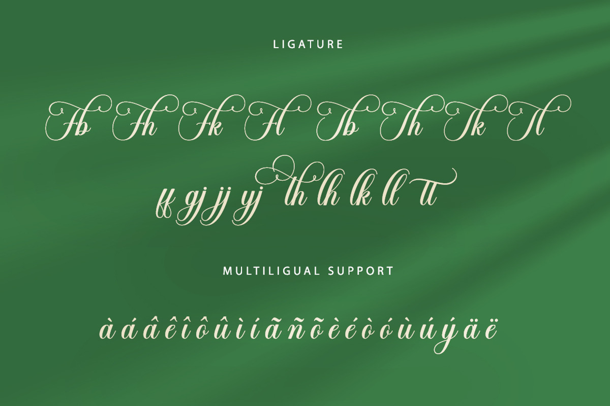 The Bringhton, a Script Font by Straight.co (Photo 10 of 11)