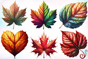 Watercolor Fall Foliage Clipart PNG, a Seasonal Illustration by Canvas Craft (Thumbnail 4 of 7)