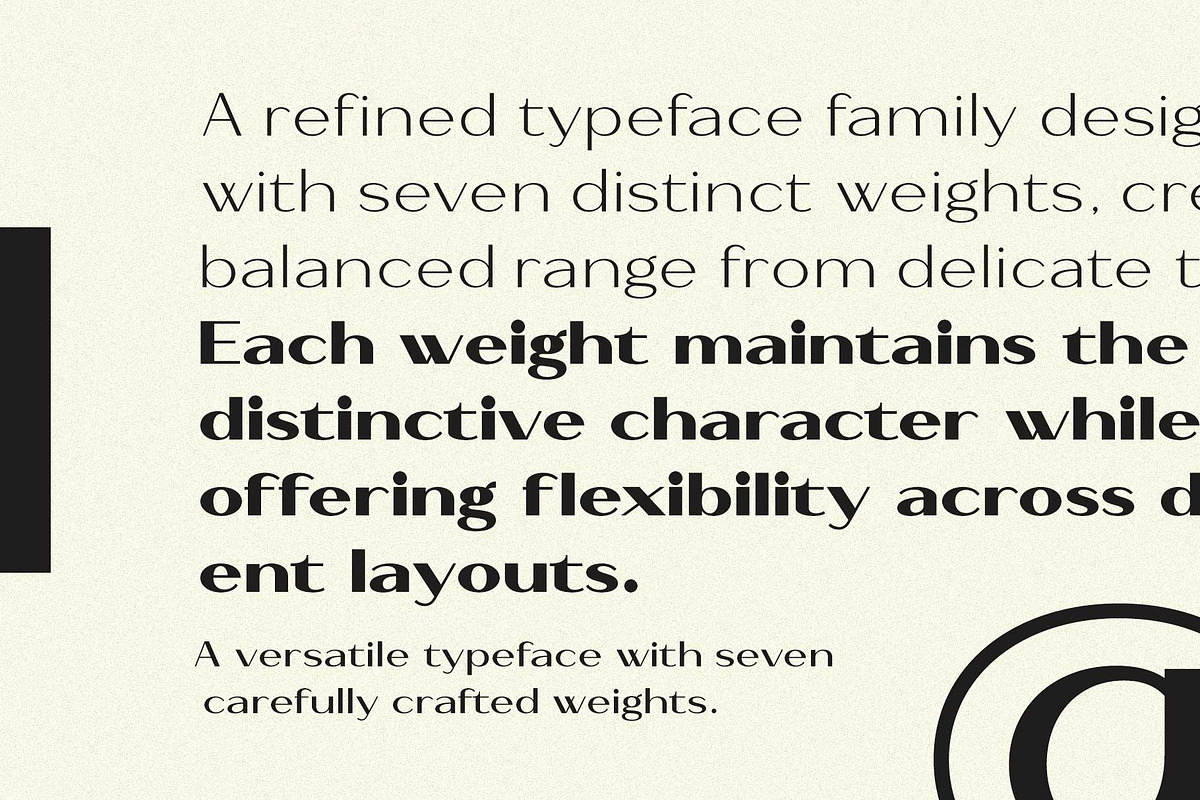 Bavero - Contemporary Sans Family, a Sans Serif Font by Novitype (Photo 12 of 13)