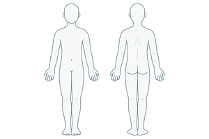 Blank Body Anatomy Chart (Unisex), a Healthcare Illustration by Irina Mir