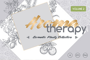 Aromatic plants sketch set Vol. 2