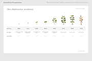 BBCH Growth Stages, Other Crops, a Presentation Template by Ilia Design (Thumbnail 7 of 8)