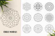 530 Vector Mandala Ornaments, an Animal Illustration by pixaroma (Thumbnail 36 of 55)