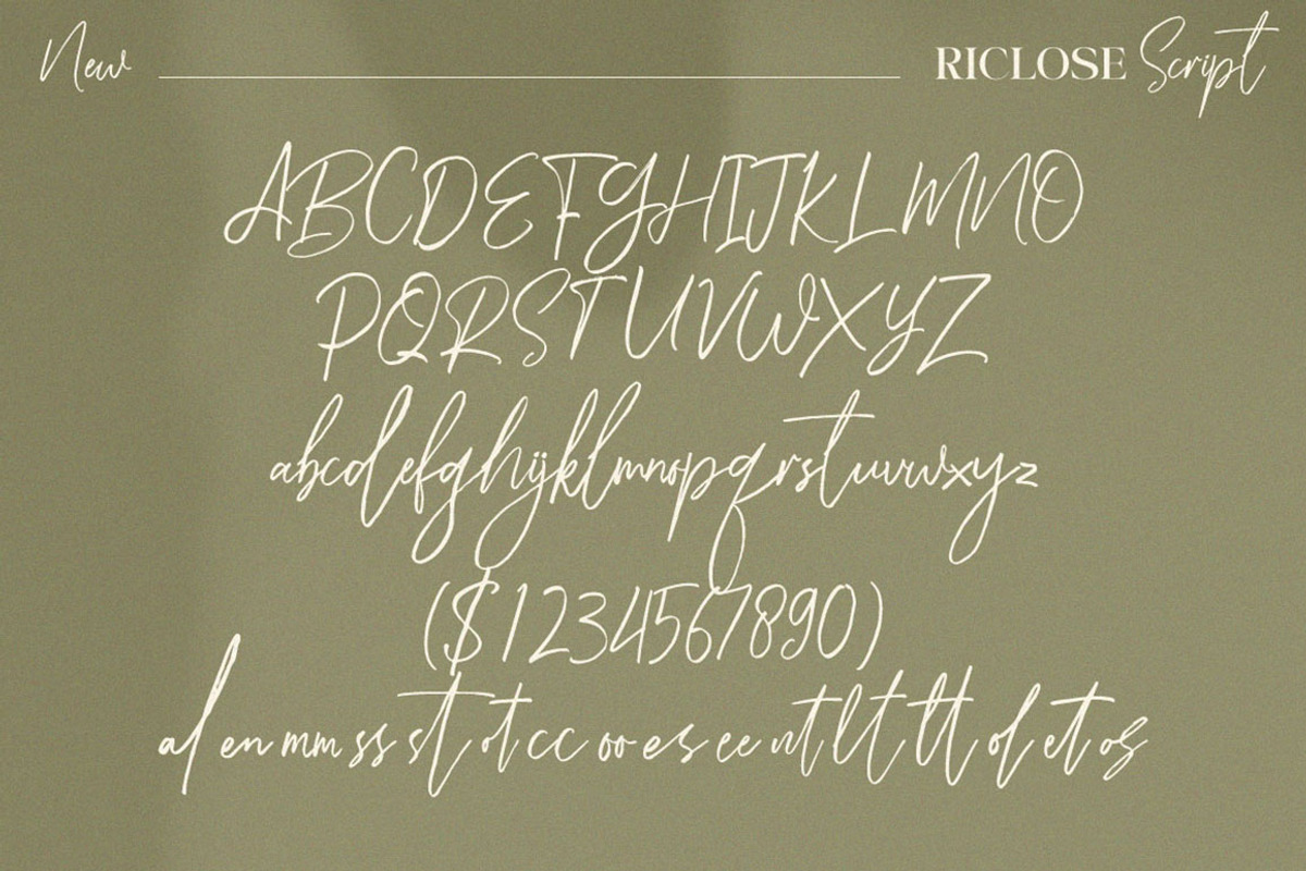 Riclose Font Duo, a Serif Font by Dora Typefoundry (Photo 18 of 29)