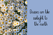 Stars, a Handwritten Font by InermediaSTUDIO (Thumbnail 5 of 8)