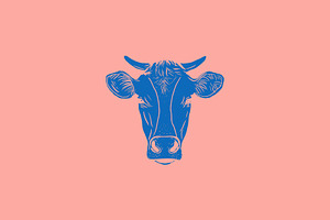 Vector Bovine Graphics