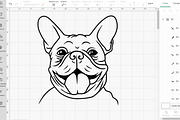 Boston terrier Svg, Bulldog svg, an Object Graphic by Bila Vorona (Thumbnail 3 of 7)