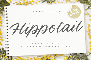 Hippotail - Modern Handwritten Font