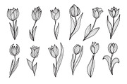 Roses and Tulips Set, an Illustration by Sunset&Sea Design (Thumbnail 3 of 5)
