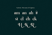 Rattagan - Display Serif Font, a Serif Font by RockboyStd (Thumbnail 9 of 12)