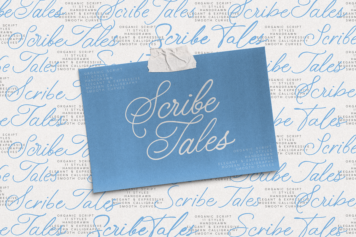 ScribeTales - Elegant Organic Script, a Script Font by VP Fonts (Photo 1 of 21)
