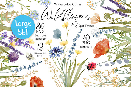 Watercolor Wildflower clipart