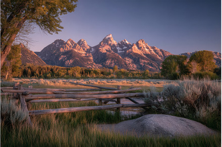 The scene of a colorful spring, a Nature Photo by ZinetroN