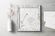 Pressed Flowers & Brush Strokes Png, an Object Graphic by by creative paper (Thumbnail 9 of 17)