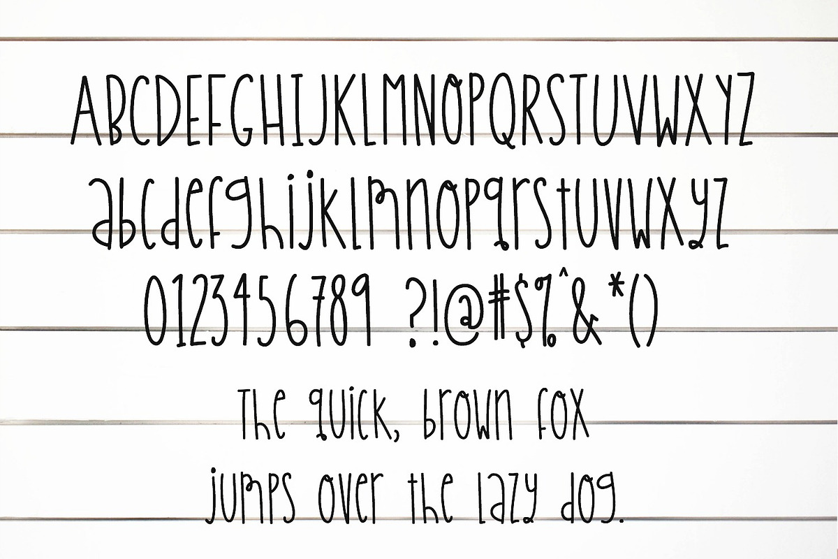Shiplap Mornings Handwritten Font preview 3