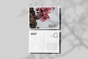 Postcard Mockup, a Product Mockup by Bangdastudio (Thumbnail 3 of 10)