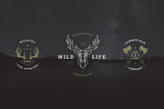 Vintage Badges vol 1, a Branding & Logo Template by blauananas (Thumbnail 6 of 9)