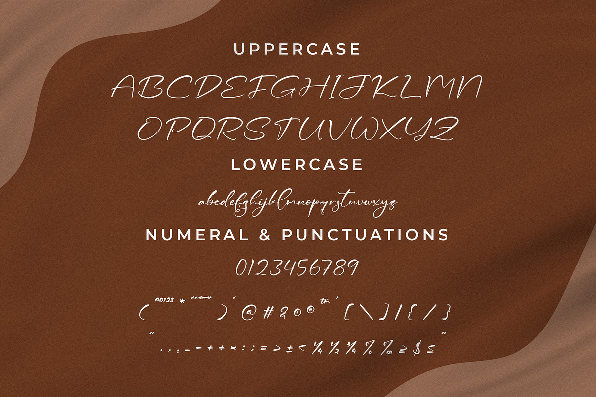 Ceesenetta, a Script Font by Integritype Studio (Photo 9 of 15)