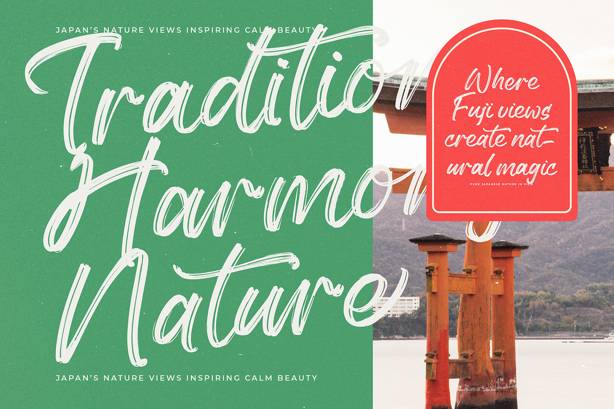 History Silentos Brush Script Font, a Script Font by stylishtype.co (Photo 13 of 15)