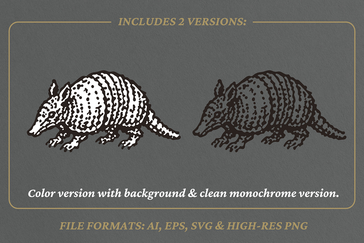 Retro illustration of an armadillo, an Animal Illustration by lettett (Photo 2 of 3)