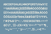 SFC Mackerel (Refined) - Font Duo, a Serif Font by Skilline Supply Co. (Thumbnail 16 of 22)