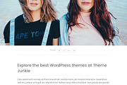 Pinpoint WordPress Theme, a WordPress Template by Theme Junkie (Thumbnail 3 of 4)