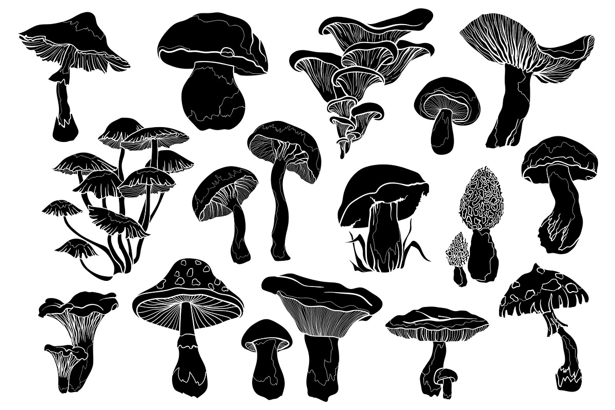 Mushrooms - vector clipart, a Decorative Illustration by Glass Cat Design (Photo 6 of 9)