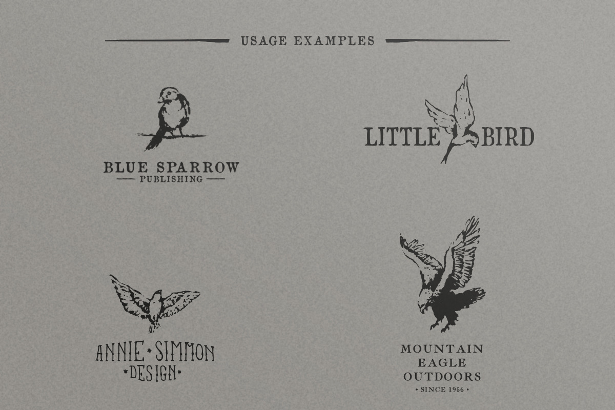 Hand Drawn Vintage Birds, an Object Graphic by danielcomerci (Photo 3 of 3)
