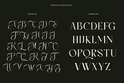 Ever Lasting - Modern Serif Font, a Serif Font by RagamKata (Thumbnail 11 of 13)