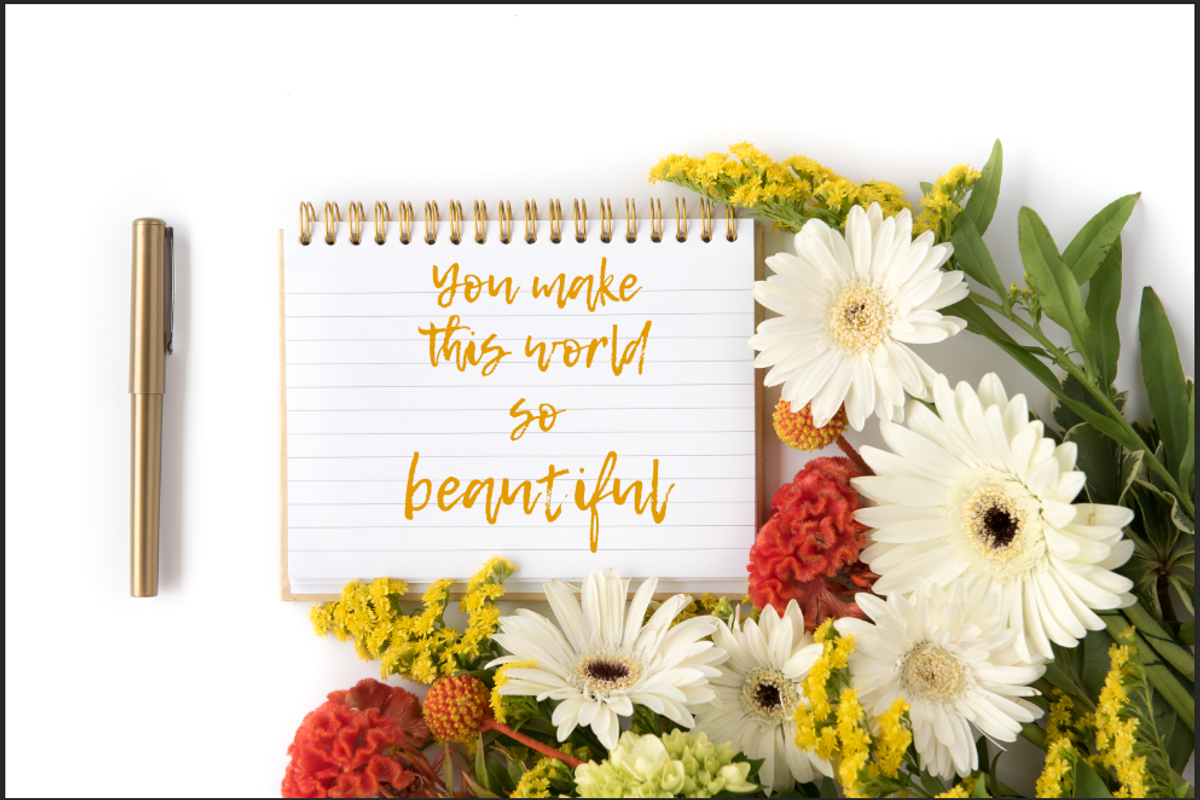 8 Mockups Gerber Daisy Wild Flowers, a Social Media Template by Cohesive Market (Photo 1 of 2)