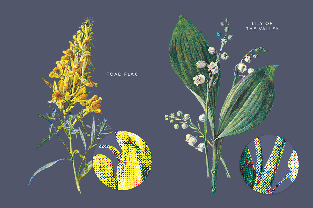 Vintage Flowers Vol.03 - Extra Large, an Illustration by Greta Ivy (Photo 15 of 15)