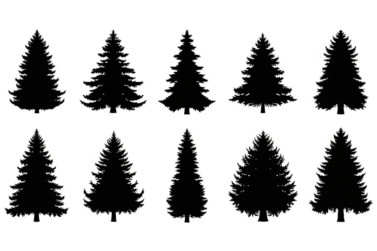 Woodland & Forest Tree Silhouettes B, an Illustration by jahid234 (Photo 38 of 41)