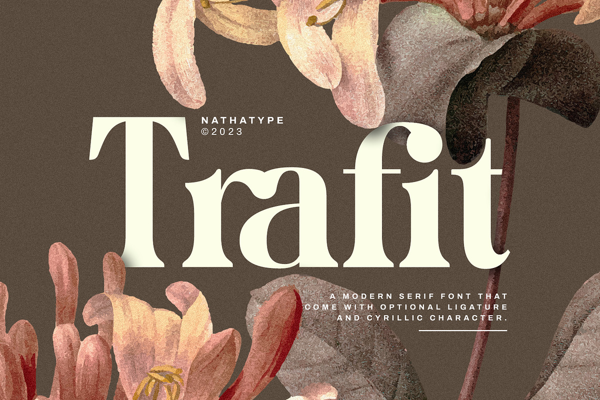 Trafit, a Serif Font by Nathatype (Photo 1 of 10)