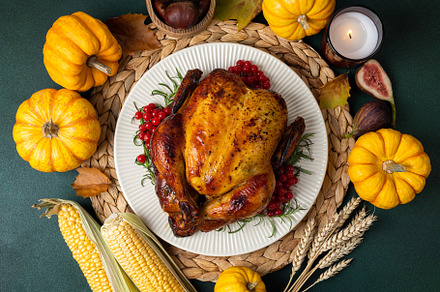 Roasted chicken for Thanksgiving Day, a Food & Drink Photo by LanaSweet