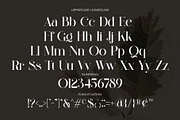 Braliga Elegant Ligature Serif, a Serif Font by Alfinart (Thumbnail 10 of 11)