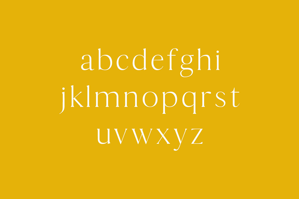 Thomas Mag Serif Fonts Family Pack, a Serif Font by Creativetacos (Photo 3 of 5)