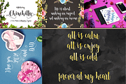 THE COLLECTION BUNDLE, a Script Font by danti (Thumbnail 15 of 31)