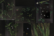 La Rosee Botanical Backgrounds, a Wallpaper Graphic by nadispasibenko (Thumbnail 8 of 9)