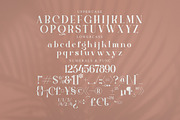Quella Modern Serif Font, a Serif Font by Storytype Studio (Thumbnail 13 of 15)
