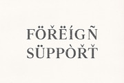 Denish Sans & Serif Duo Font Family, a Serif Font by Creativetacos (Thumbnail 7 of 12)