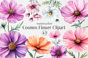 Watercolor Cosmos Flower Clipart, an Illustration by Dream Creation (Thumbnail 1 of 7)